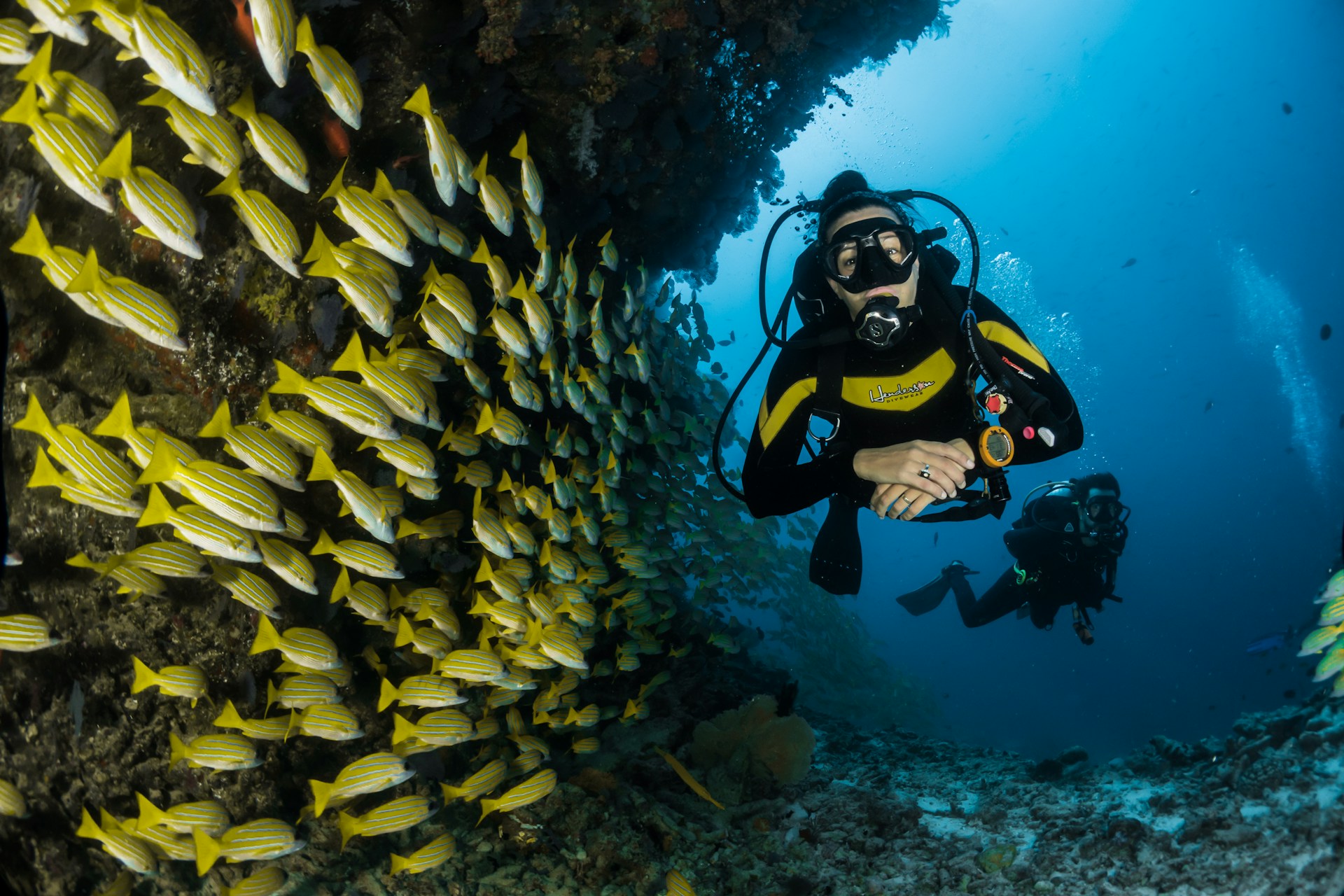 Séjour plongée à l'île Maurice : top 3 des plus beaux sites